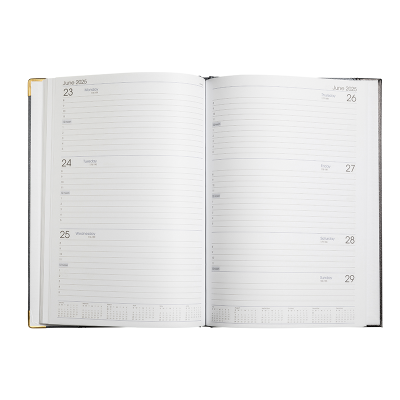 Picture of Diary A4 WTV Silver 2025