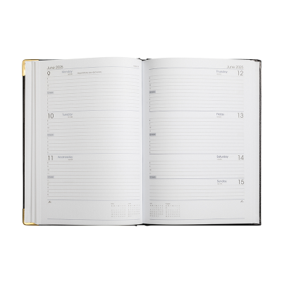 Picture of Diary A4 WTV Black 2025