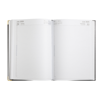 Picture of Diary A4 DTP Silver 2025