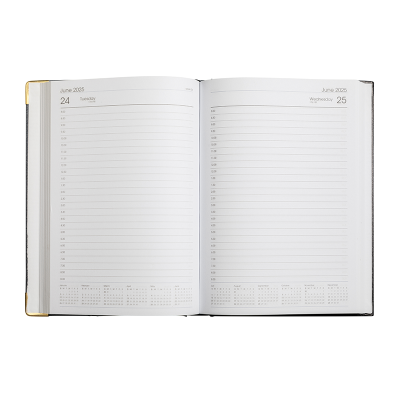 Picture of Diary A5 DTP Silver 2025